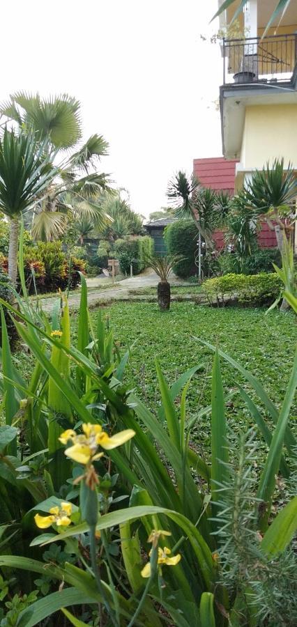 Bliss Family Cottage Batu Бату Экстерьер фото