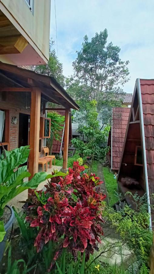Bliss Family Cottage Batu Бату Экстерьер фото